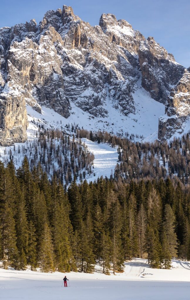 pexels photo 29537939.jpeg